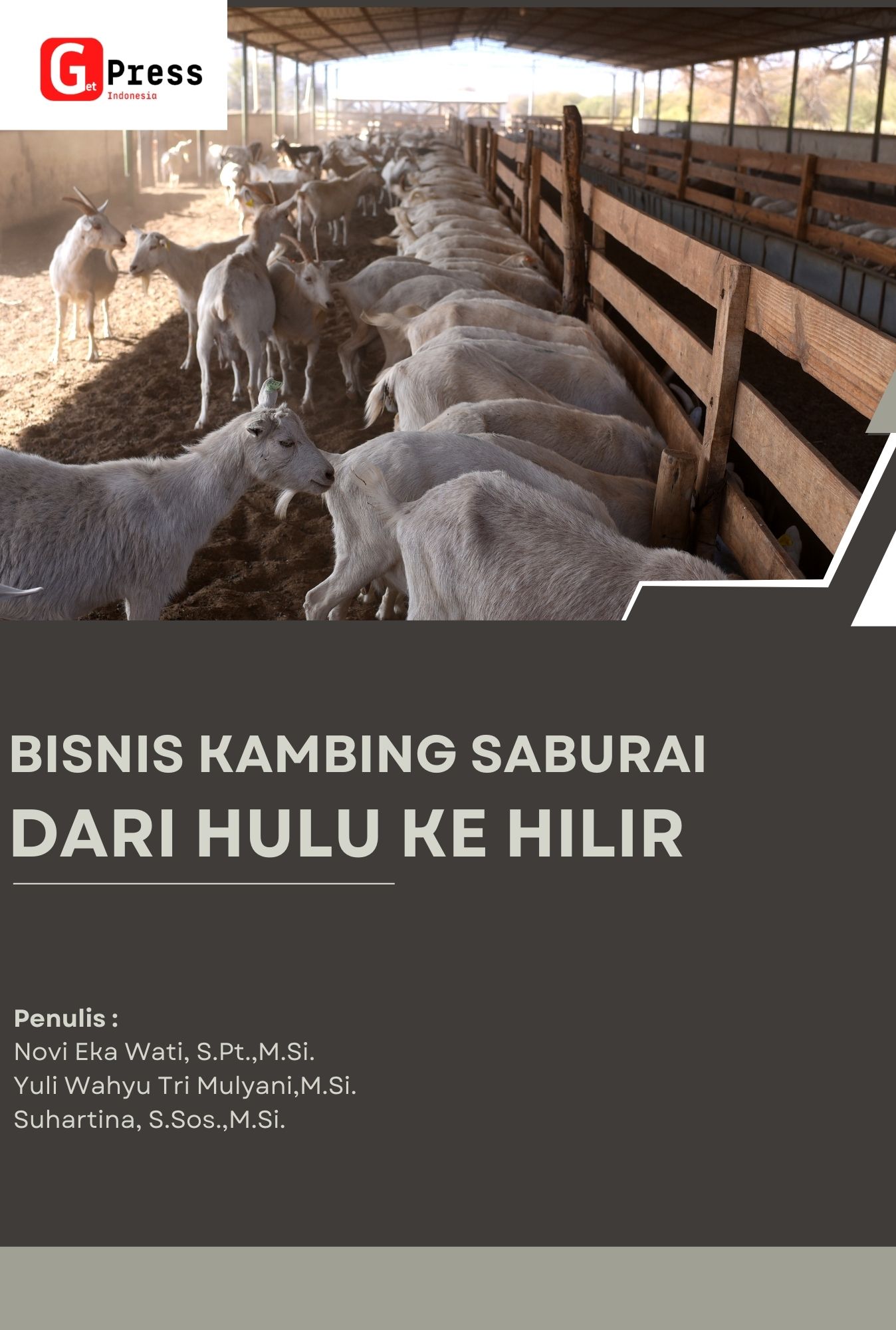 Bisnis Kambing Saburai Dari Hulu Ke Hilir